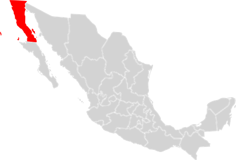 Localisation de l'État de Basse-Californie (en rouge) à l'intérieur du Mexique